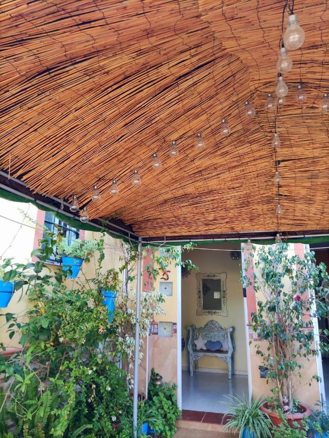 Cool Garden And Suite مايرينا ديل ألخارفي المظهر الخارجي الصورة